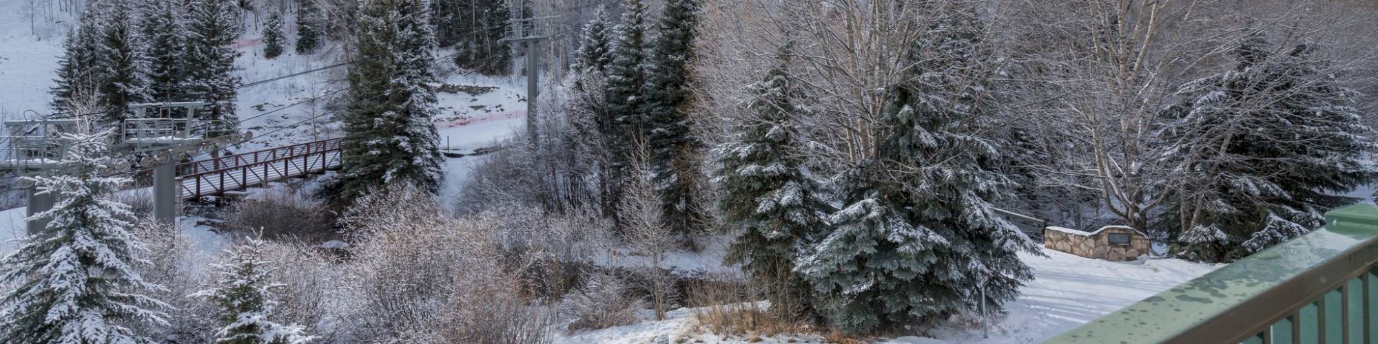 Snowy landscape viewed from a balcony with railings, trees, and a bike rack visible.