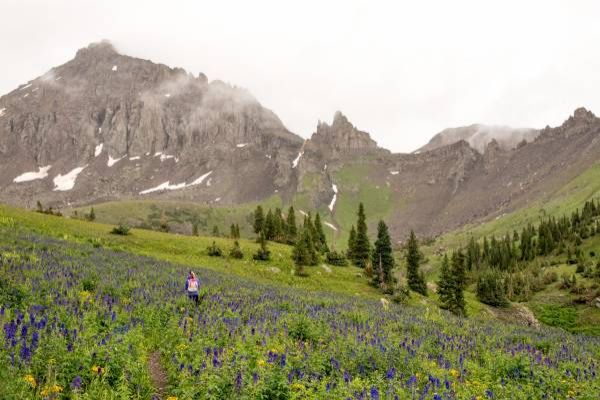 A hiker stands amidst vibrant wildflowers with misty mountains in the background.