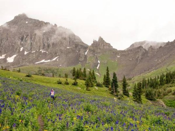 A hiker stands amidst vibrant wildflowers with misty mountains in the background.