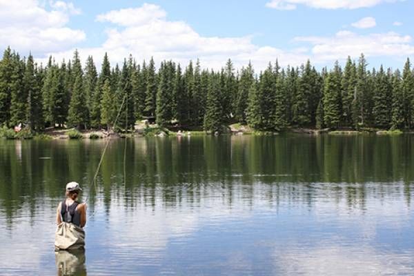 A person stands fishing in a serene lake surrounded by lush trees under a blue sky.