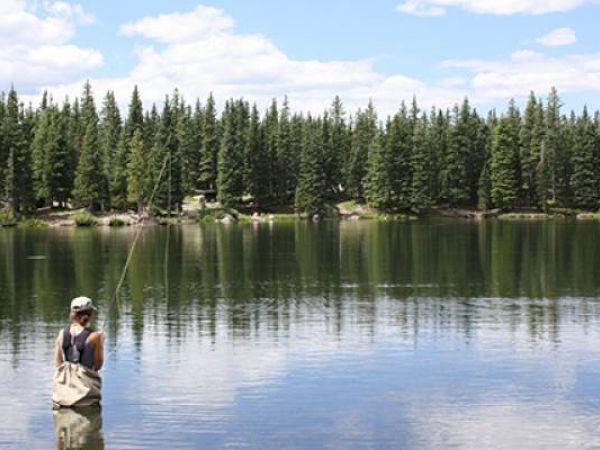 A person stands fishing in a serene lake surrounded by lush trees under a blue sky.