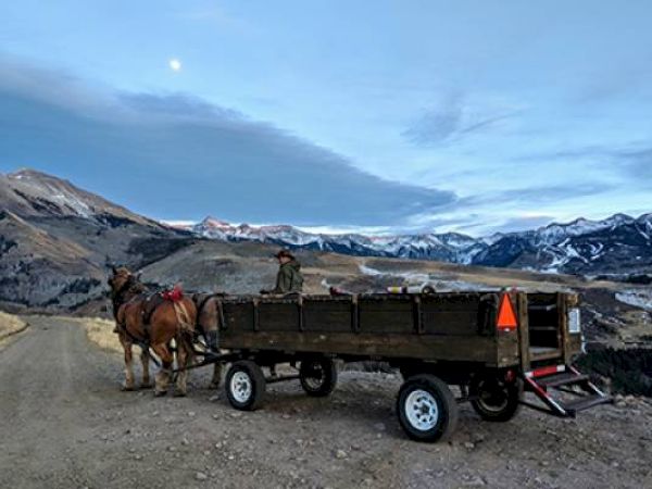 A horse-drawn wagon on a mountain road with a person and a moonlit sky.