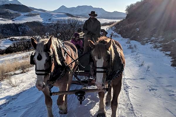 Two horses pull a sleigh with people through a snowy landscape.