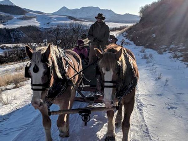 Two horses pull a sleigh with people through a snowy landscape.