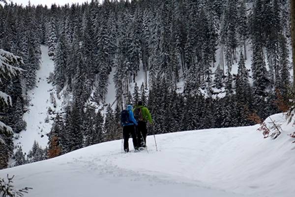 Two hikers with backpacks in a snowy forest landscape.