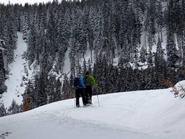 Two hikers with backpacks in a snowy forest landscape.