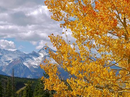 Autumn leaves in the forefront with snowy mountain peaks and clouds in the background.