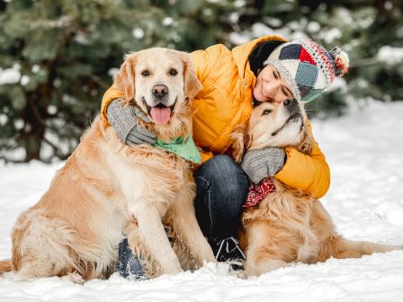 A person in a bright jacket and knitted hat warmly hugs two golden retrievers in the snow, surrounded by snowy trees.