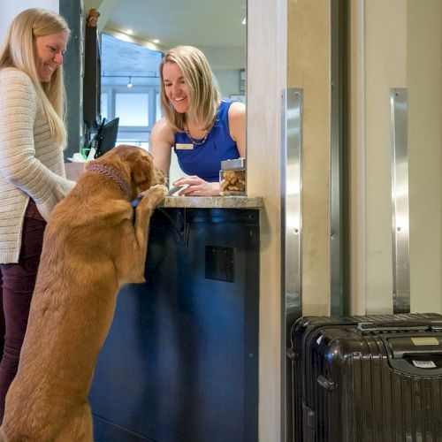 Two women are smiling at a dog standing at a reception desk, with a suitcase nearby.