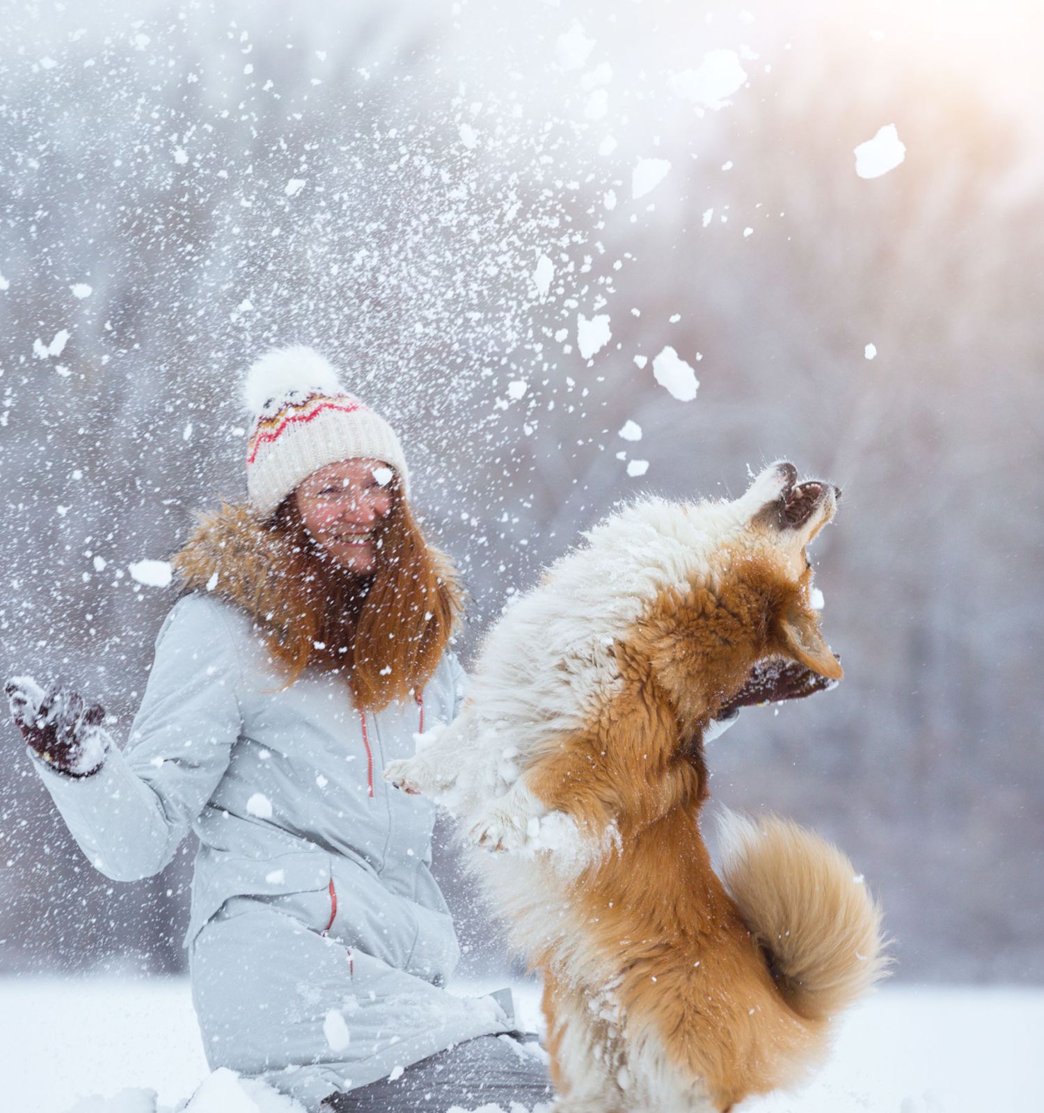 A person in winter clothing plays in the snow with a jumping dog, surrounded by a snowy landscape.