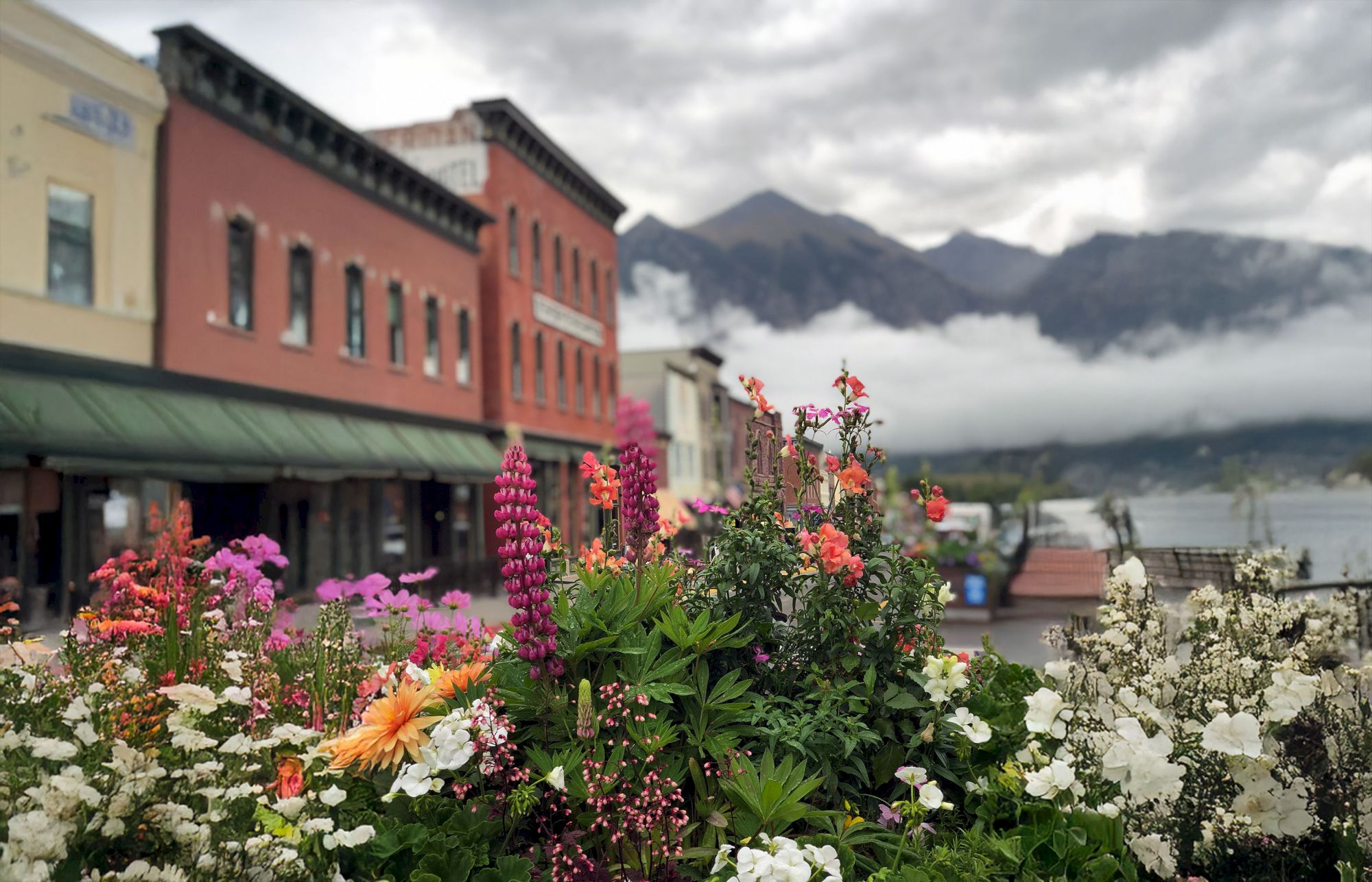 Colorful flowers in the foreground with historic buildings and misty mountains in the background under a cloudy sky.
