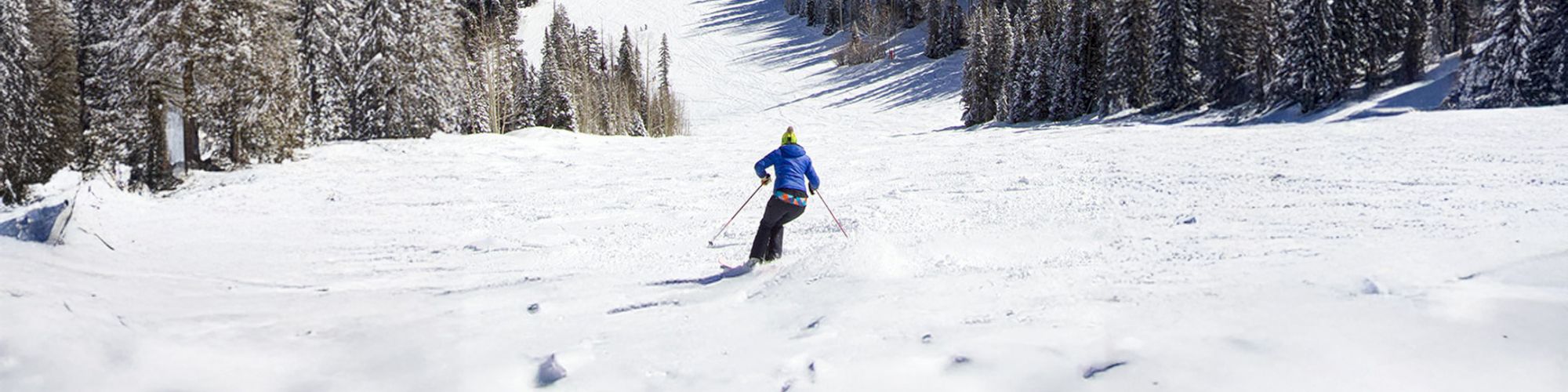 A skier descends a snowy slope surrounded by trees and mountain ranges, with a village visible in the background under clear skies.